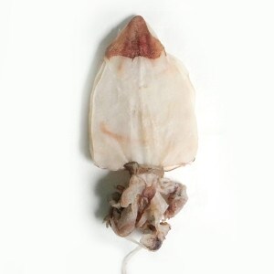 나눔푸드 <b>오징어</b> 장족 국내가공 대형 다리 파품1kg