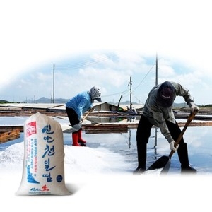 2023 이푸른  자연바라기 신안 천일염 20kg