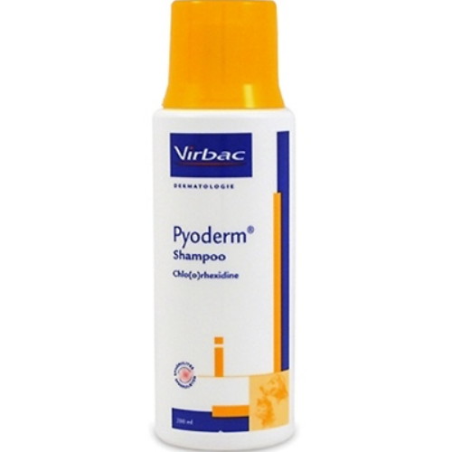 버박 파이오덤 약용샴푸 200ml (1개)_이미지