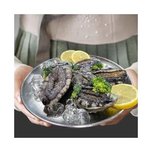 완도 활전복 1kg 20~22미
