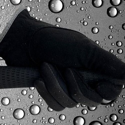 ũ���� ���� ���� �׸� �����ս� �����尩