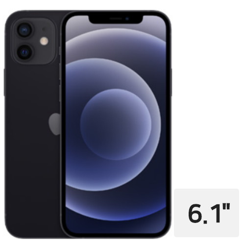 APPLE 아이폰12 64GB, 공기계 (S등급,중고)