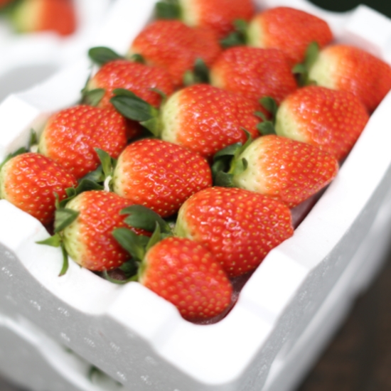 산지 논산 꿀 킹스베리 1kg (1개)_이미지