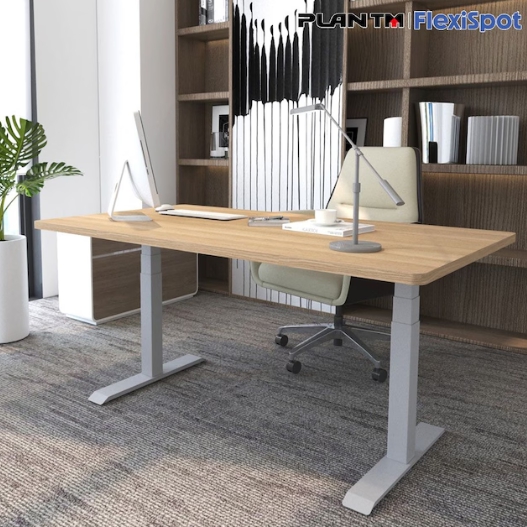 FLEXISPOT �÷�Ƽ�� E7 ������ �����̾��� ��� ���ĵ� å��