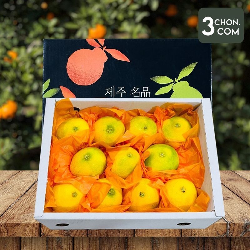 삼촌밥먹자 제주돌담 황금향 선물세트 소과 1.5kg