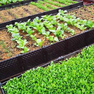 21세기트랜드 조립식 텃밭 대형화분_이미지