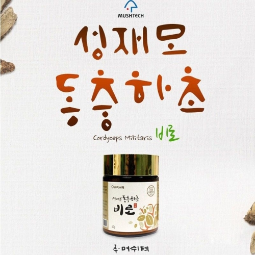 성재모 비로 40g 현미 동충하초 2개이미지입니다. 누르면 해당 게시물로 새창이동합니다.