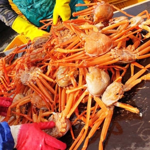 홈스퀘어 구룡포 A급 자숙 연지홍게 3kg (1개)_이미지