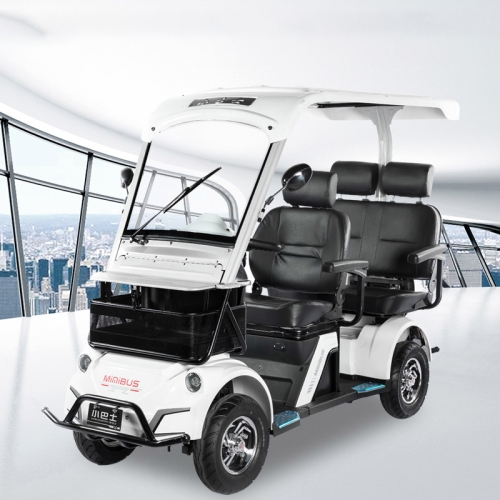 MBV EV100