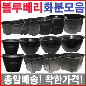 블루베리화분모음/고무/플라스틱/대형/도로/분갈이분_이미지