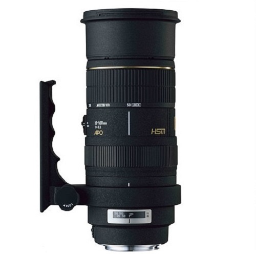 SIGMA APO 50-500mm F4-6.3 EX DG HSM 캐논 EF용 (정품) : 다나와 가격비교