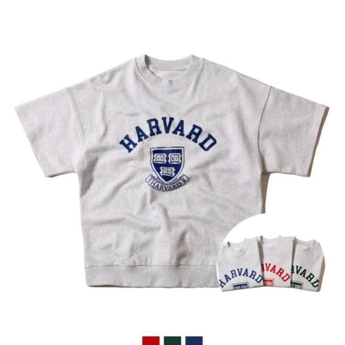 �Ǳ׸�Ʈ HYIJO8FG_4B Indikator ������ ����