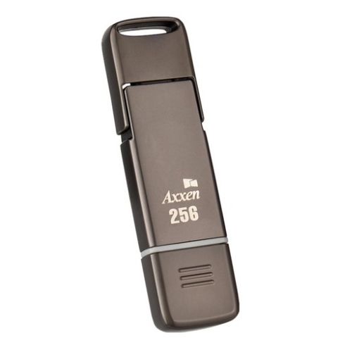 Axxen PS31 (256GB)_이미지