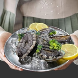 대진유통 완도 활전복 1kg 9~10미 (1개)