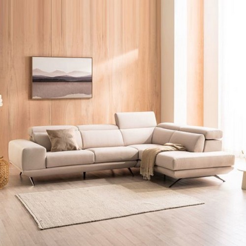 ���� ���� �����ڳ� ����� ���� �к긯 ���� 4�ο�