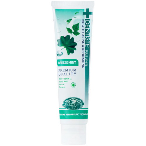 덴티스테 ㅤ플러스화이트 브리즈민트 치약 160g (1개)_이미지