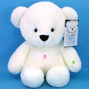 누리토이즈 돌앤돌스/누리베어 녹음인형 25cm/곰인형/봉제인형이미지입니다. 누르면 해당 게시물로 새창이동합니다.