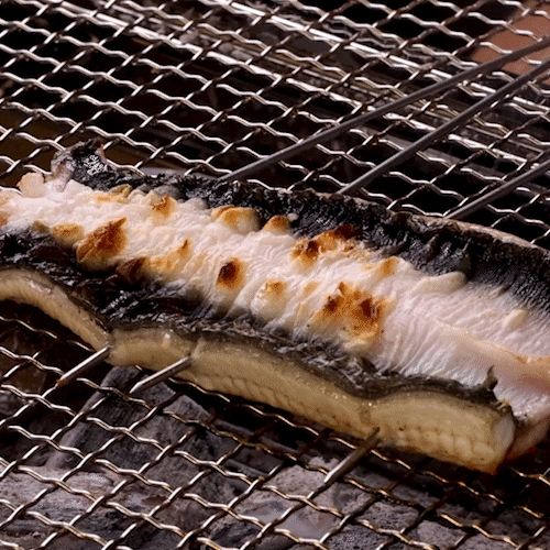 대한민국농수산 국내산 장어 민물장어 1kg 손질후 700g (1개)