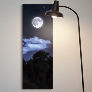 �ٹ� cv355-Ǫ���㺸���޴�����������
