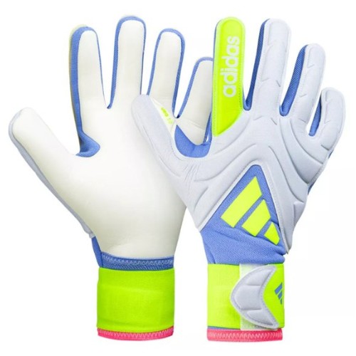 �Ƶ�ٽ� ���� GL LGE GK JH3794