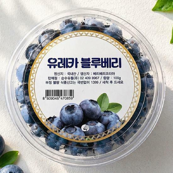 [불명] 유레카 생 블루베리 16-18mm 100g (10개)_이미지
