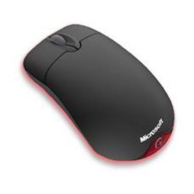 Microsoft Wheel Mouse Optical 블랙 OEM벌크_이미지