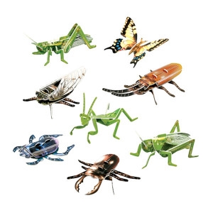 [불명] 곤충8종 5인용 EDU-10875 체험학습키트 종이공작공예