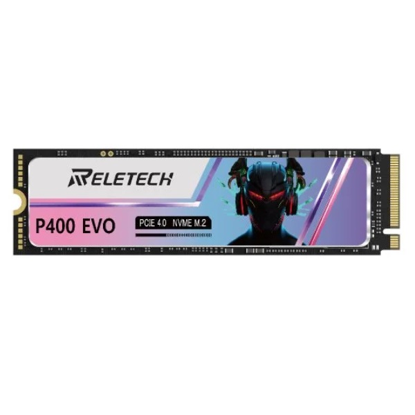 Reletech P400 EVO M.2 NVMe 해외구매 (1TB)