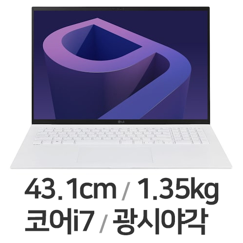 LG전자 2022 그램17(12세대) 17ZD90Q-GX76K (SSD 256GB)