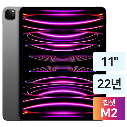 APPLE 2022 iPad Pro 11 4세대 해외구매 (256GB)