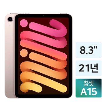 APPLE 2021 iPad mini 6세대 중고