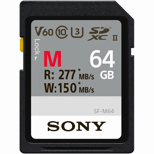 SONY SD M시리즈 2019 (64GB)_이미지