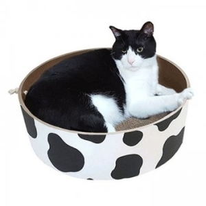 힐링타임 띵가띵가 스크래쳐 카우415cm_23095663이미지입니다. 누르면 해당 게시물로 새창이동합니다.