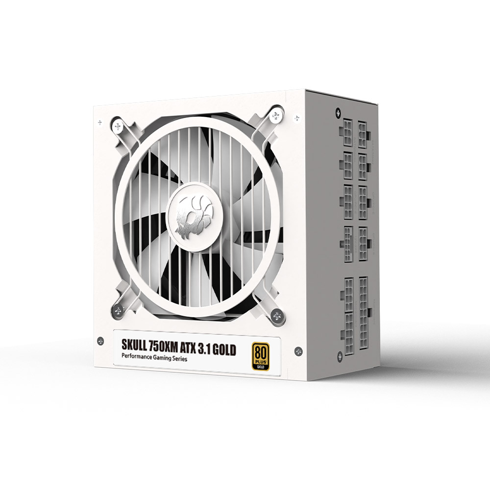 NEWZEN SKULL 750XM 풀모듈러 ATX3.1 80PLUS골드 화이트_이미지
