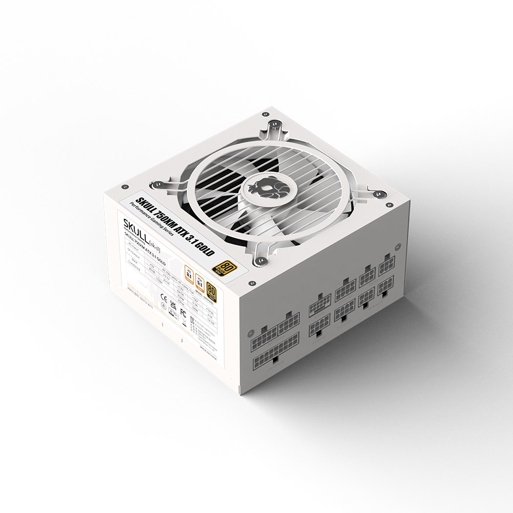 NEWZEN SKULL 750XM 풀모듈러 ATX3.1 80PLUS골드 화이트