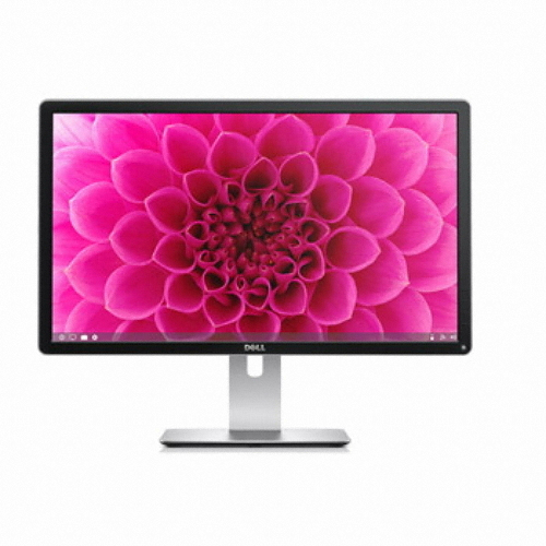 DELL Ultra HD P2415Q