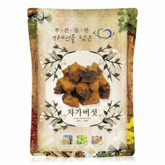 푸른들판 차가버섯 500g (1개)_이미지