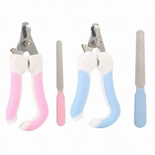 �����ǰ��� ������ ������ ����ٵ���