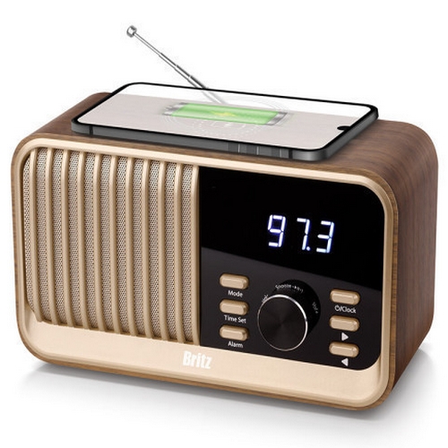 Britz 브리츠인터내셔널 BZ-JE100 (정품)