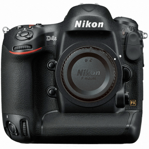 ���� D4s �ٵ�