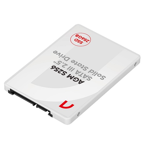 앱코 AGM (S256, 256GB)_이미지