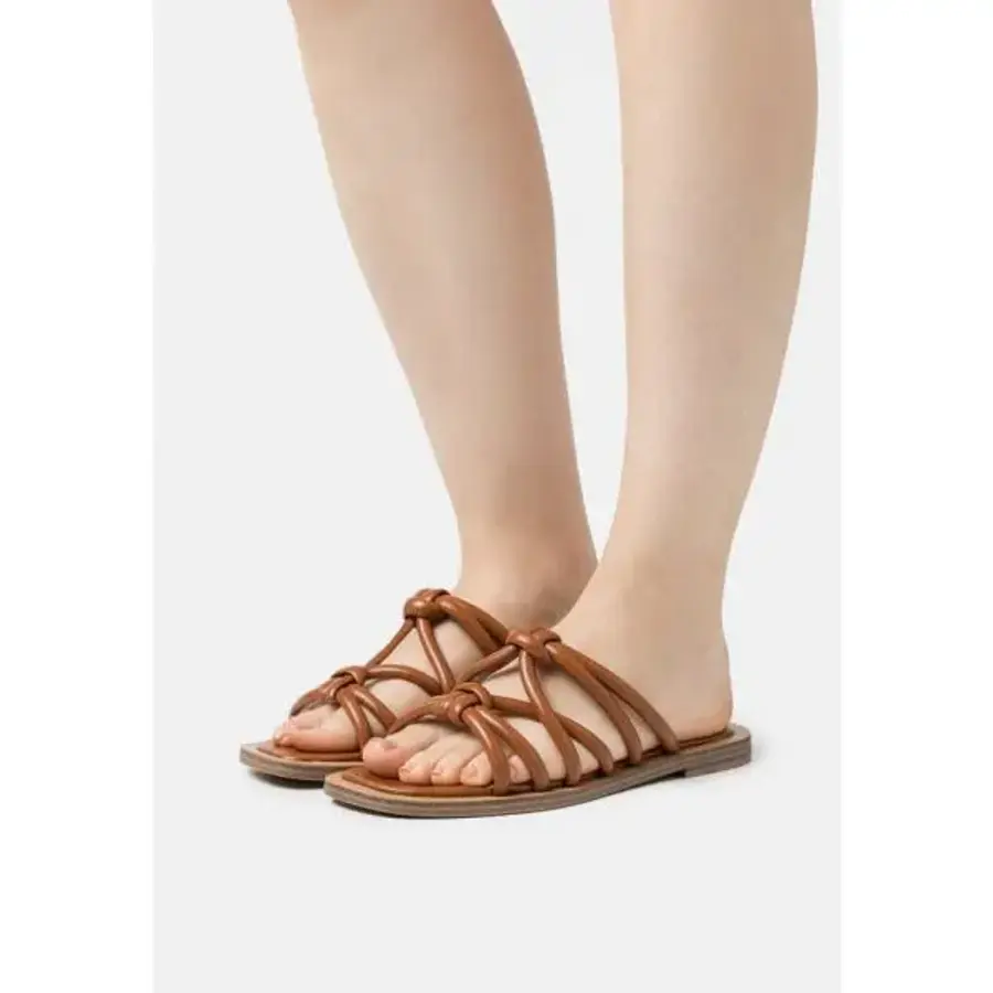 �������� Ʈ �� ĳ���� 7456518