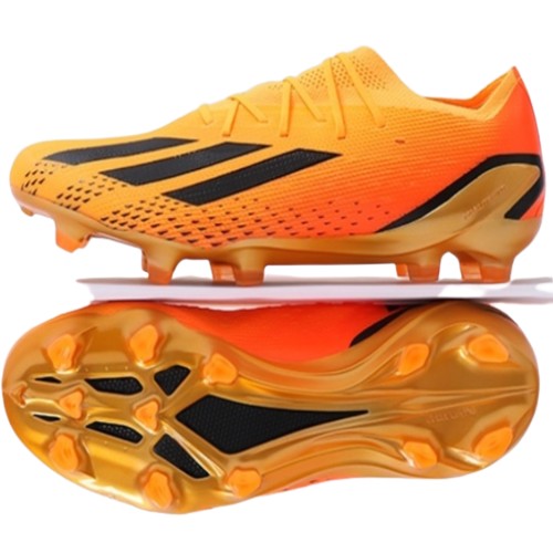 �Ƶ�ٽ� ���� ���ǵ� ��Ż.1 FG GZ5109