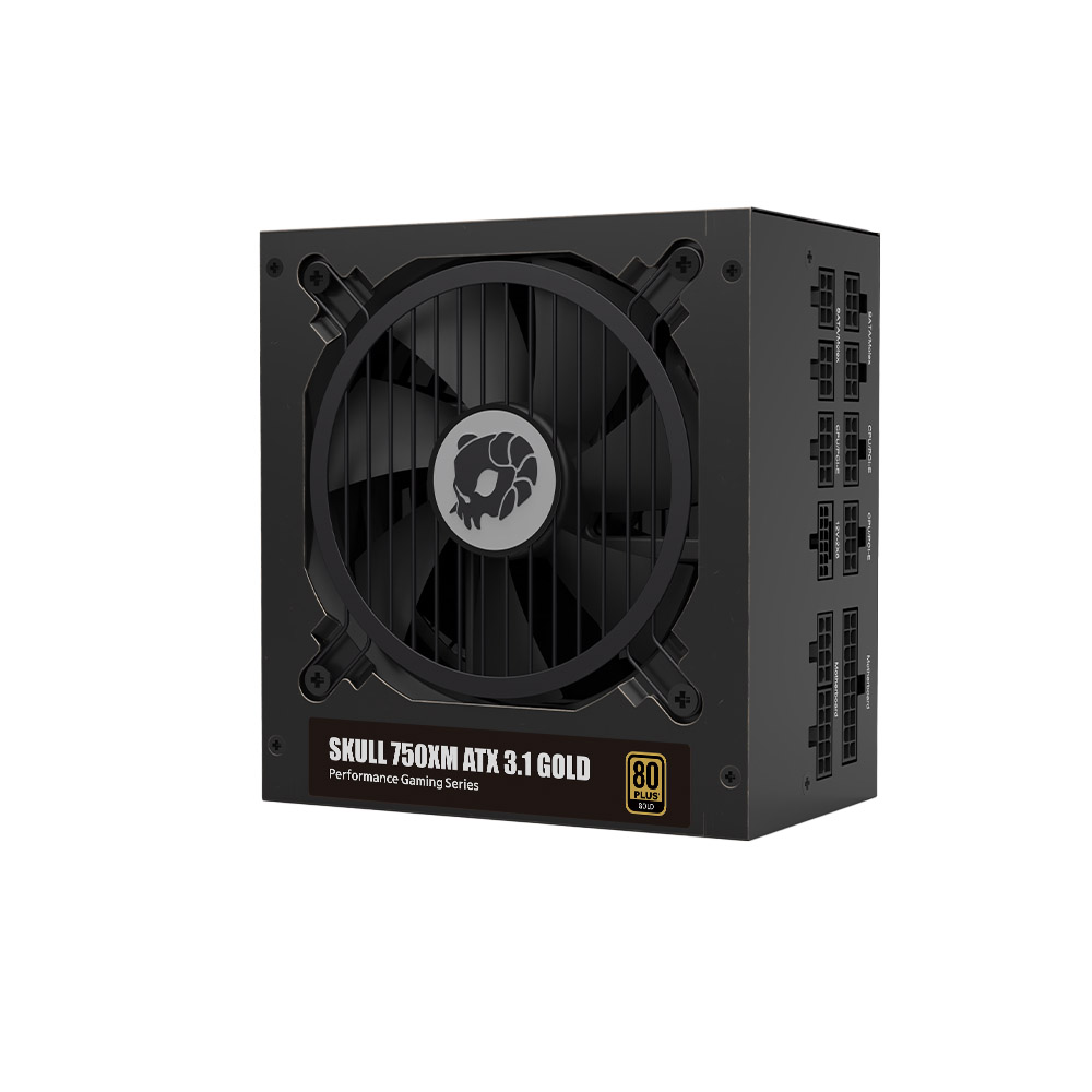 NEWZEN SKULL 750XM Ǯ��ⷯ ATX3.1 80PLUS��� ����
