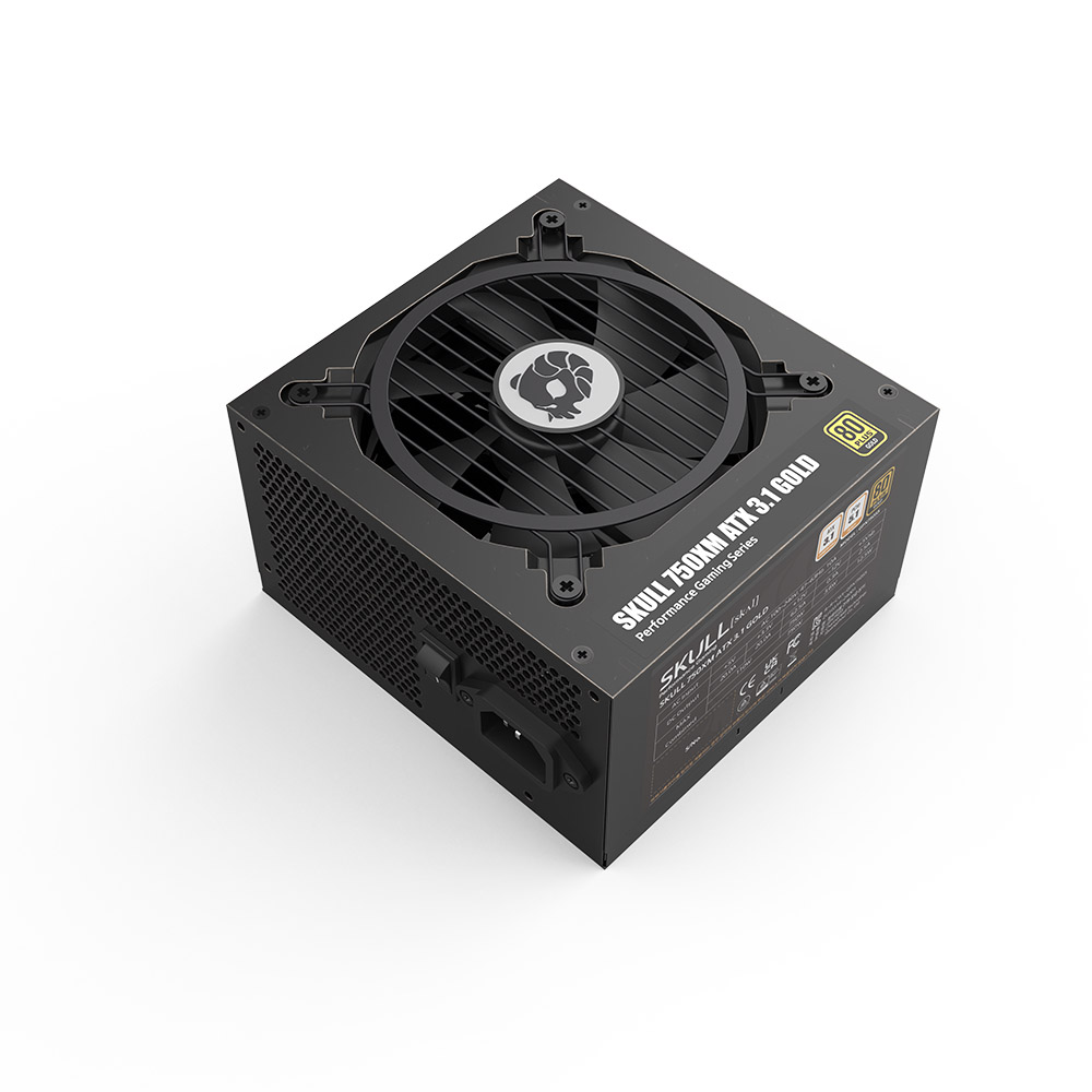 NEWZEN SKULL 750XM Ǯ��ⷯ ATX3.1 80PLUS��� ����