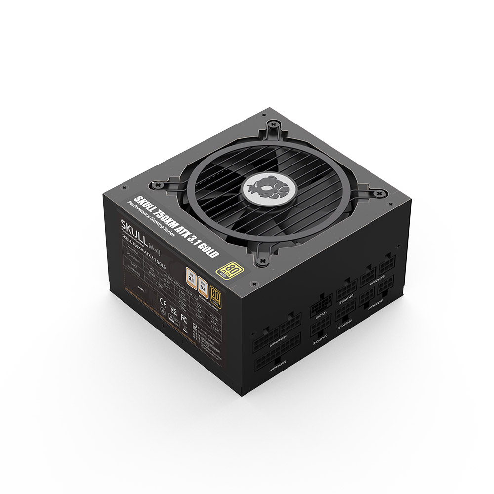 NEWZEN SKULL 750XM 풀모듈러 ATX3.1 80PLUS골드 블랙_이미지