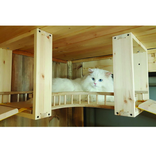 그네타는고냥이 ㅤ코너벙커 캣워커_이미지