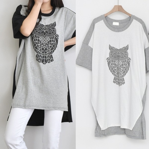 YC10 수리부엉이 3089973