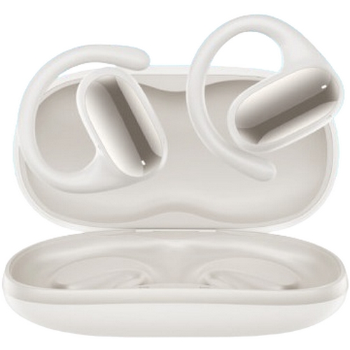 QCY Crossky GTR2 T30 (정품)_이미지