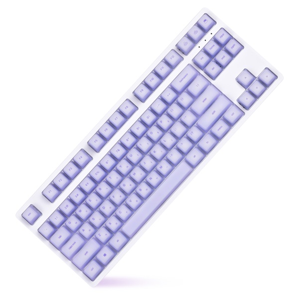 말랑말랑 젤리푸딩